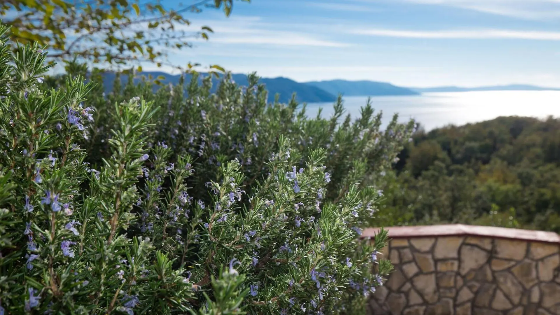 Apartman Fonovici Jurasi 0*,  Croatia